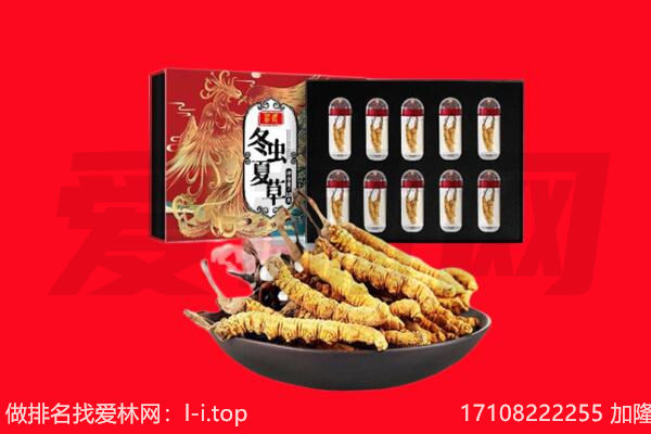 克拉玛依区回收虫草.jpg